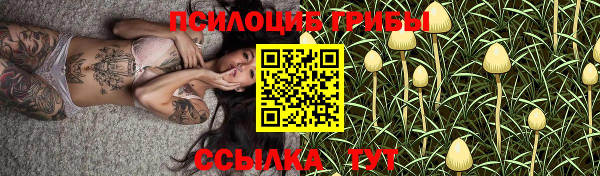 Псилоцибиновые грибы MAGIC MUSHROOMS Обь