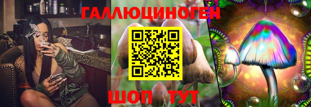 где купить наркоту  Вход с VPN  Обь  Псилоцибиновые грибы GOLDEN TEACHER 