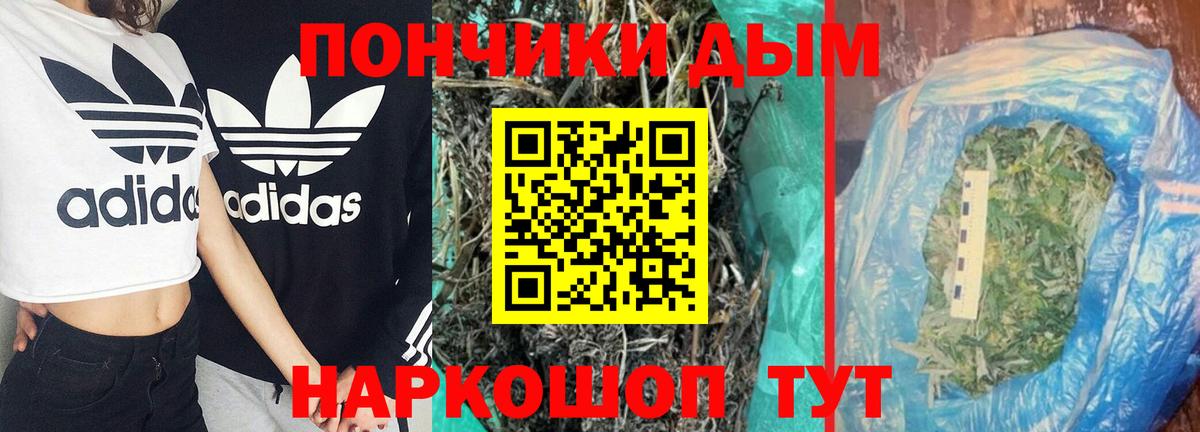 Обь  МАРИХУАНА ГИДРОПОН  Вход с VPN  МАРИХУАНА гибрид  Бошки Шишки планчик 